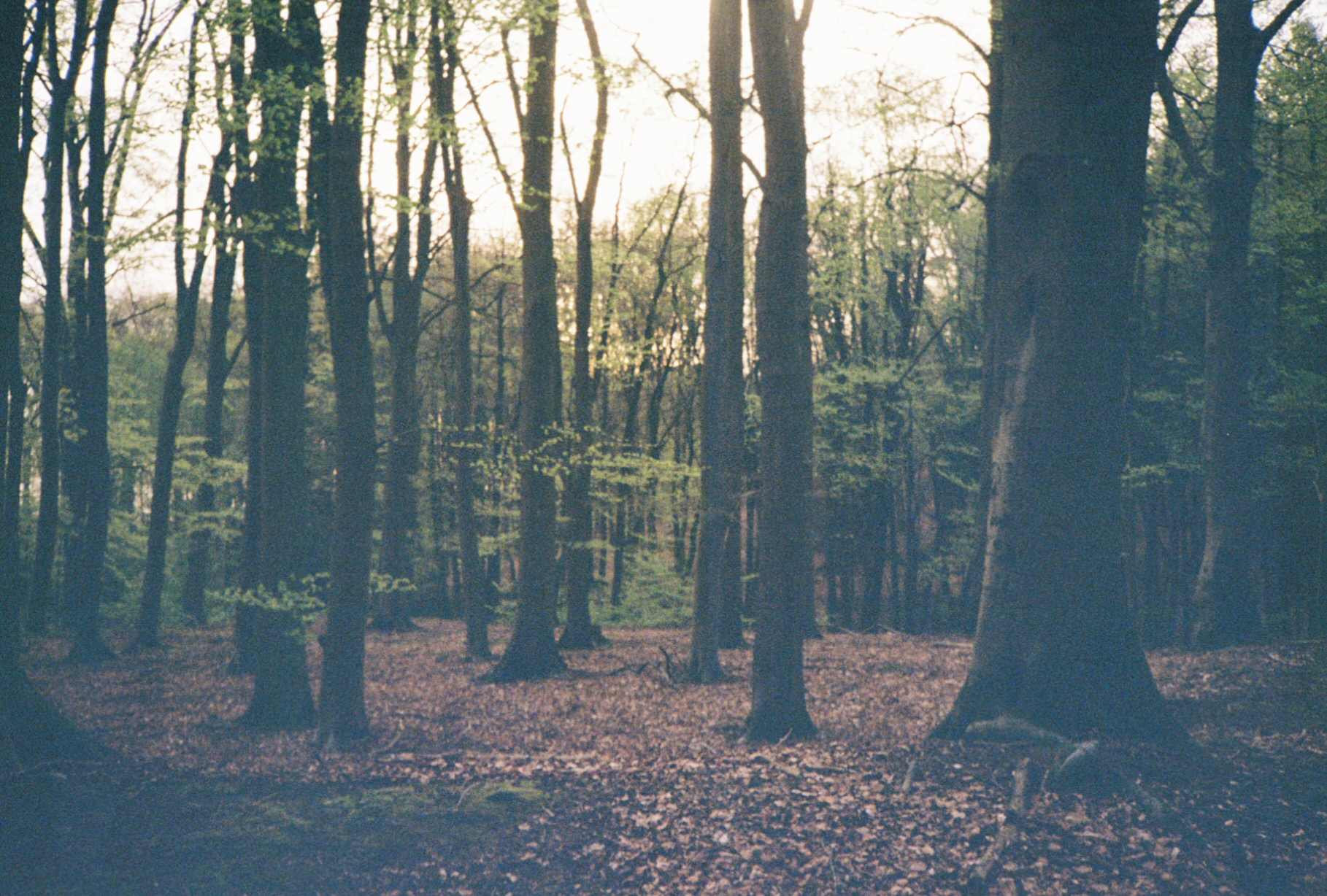 Photography by James Clarke